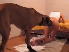 Adolescent fuck-hungry who loves having sex with animals and has a fun booty